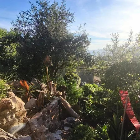 Vue , Jardin & Ambiance Tiny House * Saint-Raphaël