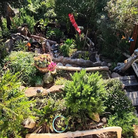 Vue , Jardin & Ambiance Tiny House