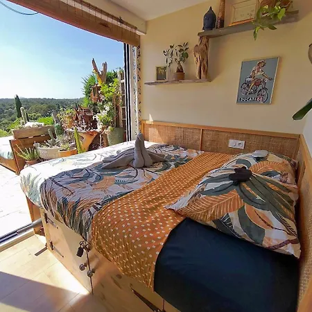 Vue , Jardin & Ambiance Tiny House * Saint-Raphaël