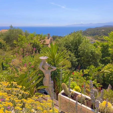 Vue , Jardin & Ambiance Tiny House Saint-Raphaël